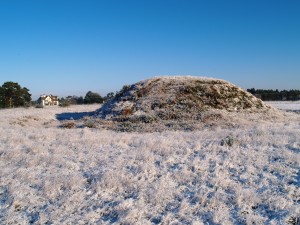 Frosty Mound 1